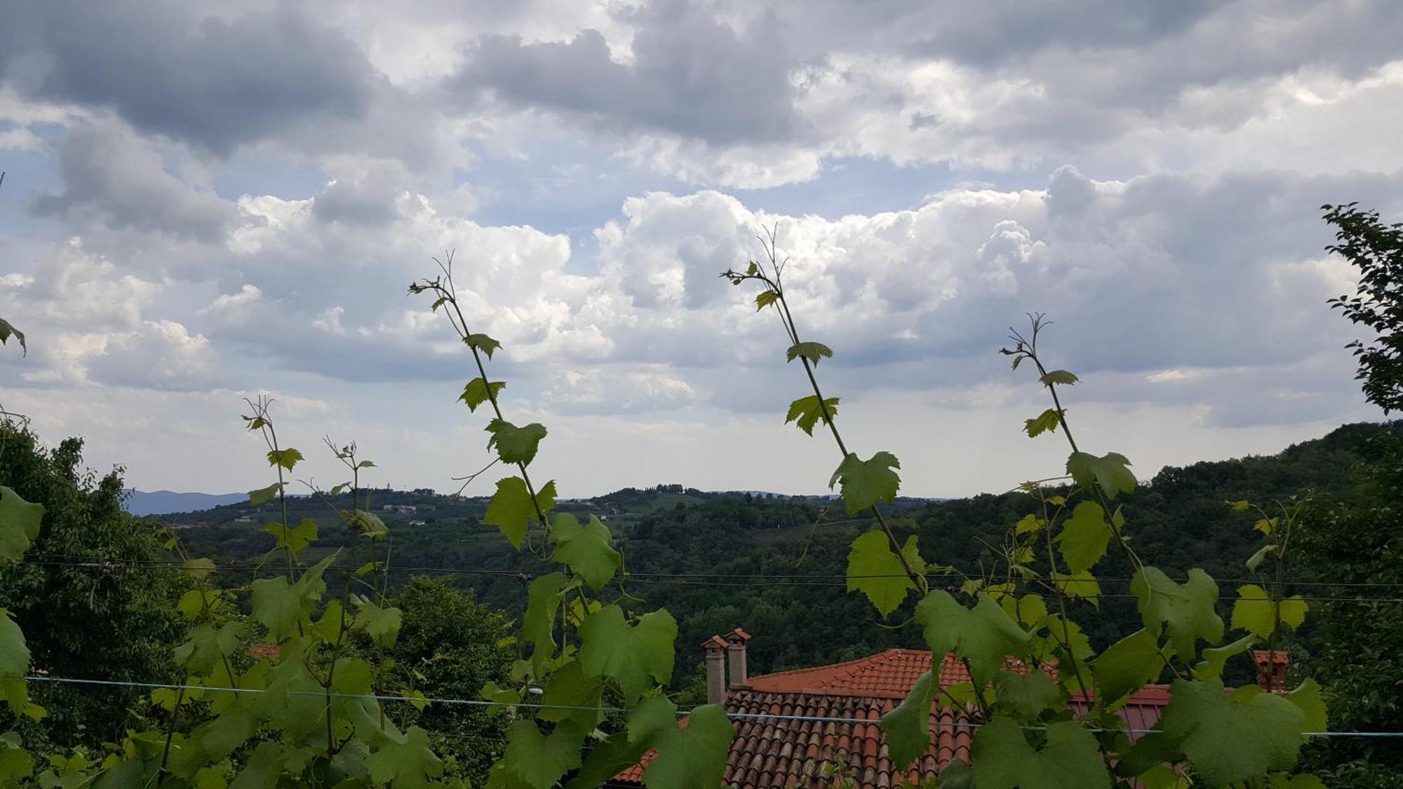 Valentina Guest House At Pintar Wine Estate Kojsko Kamer foto