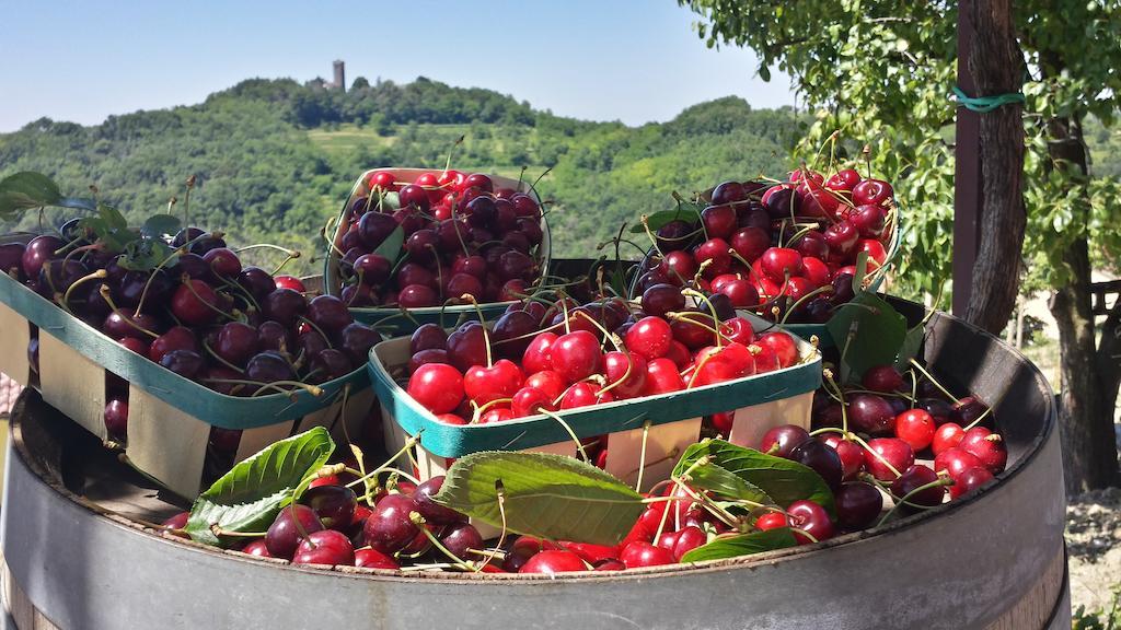 Valentina Guest House At Pintar Wine Estate Kojsko Buitenkant foto